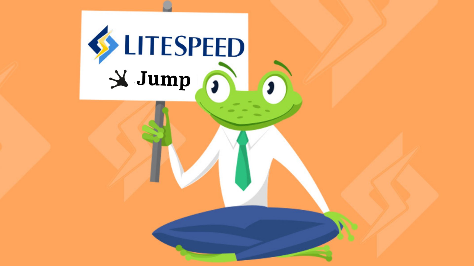 What are the Benefits of Using LiteSpeed Web Server for Website Hosting?