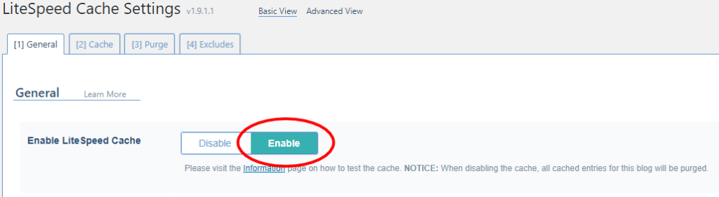 Enable LiteSpeed Cache 