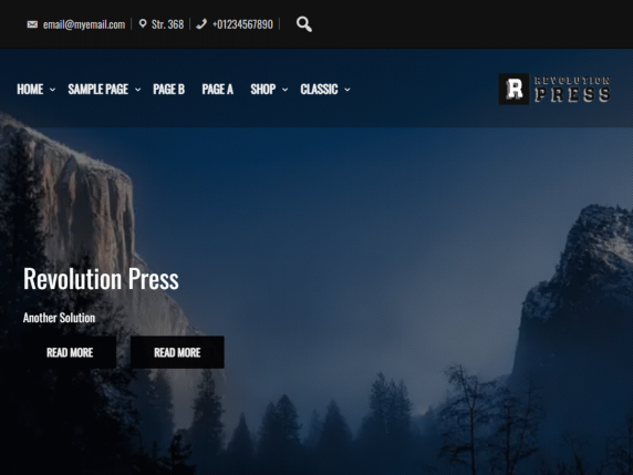 Revolution Press theme