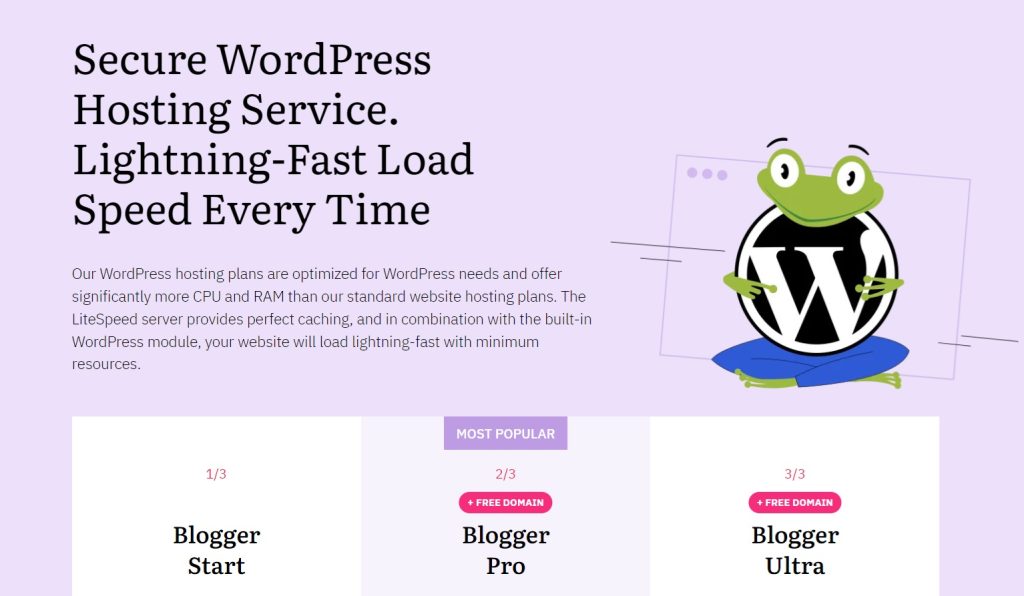 Secure WordPress Hosting Service. Lightning-Fast Load Speed Every Time
