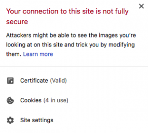 Error: your connection to this site is not fully secure